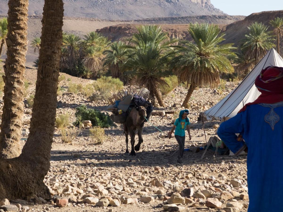 Bivouac Les Nomades & Foum Zguid To Chegaga Tours Hotel Bagian luar foto