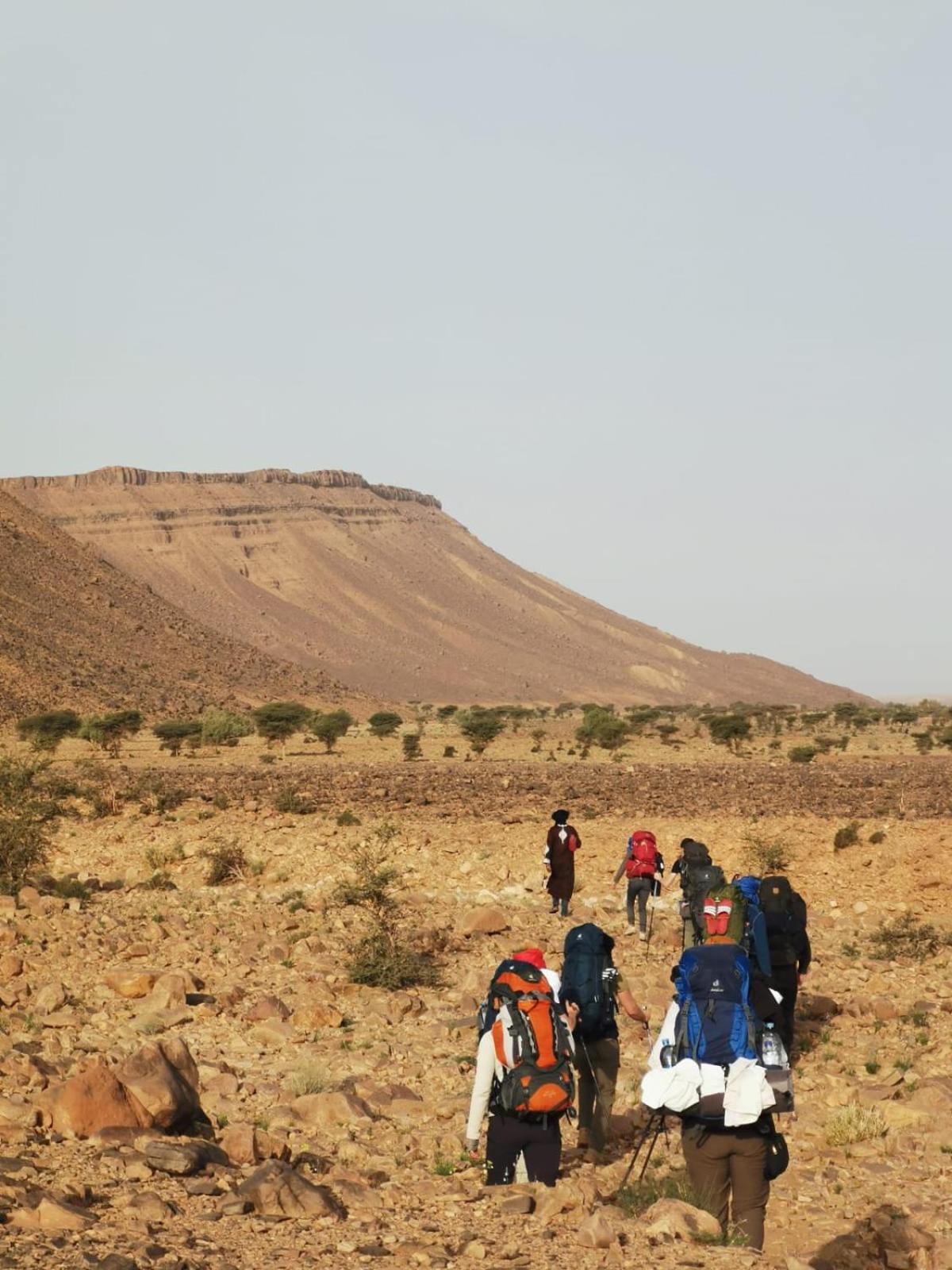 Bivouac Les Nomades & Foum Zguid To Chegaga Tours Hotel Bagian luar foto