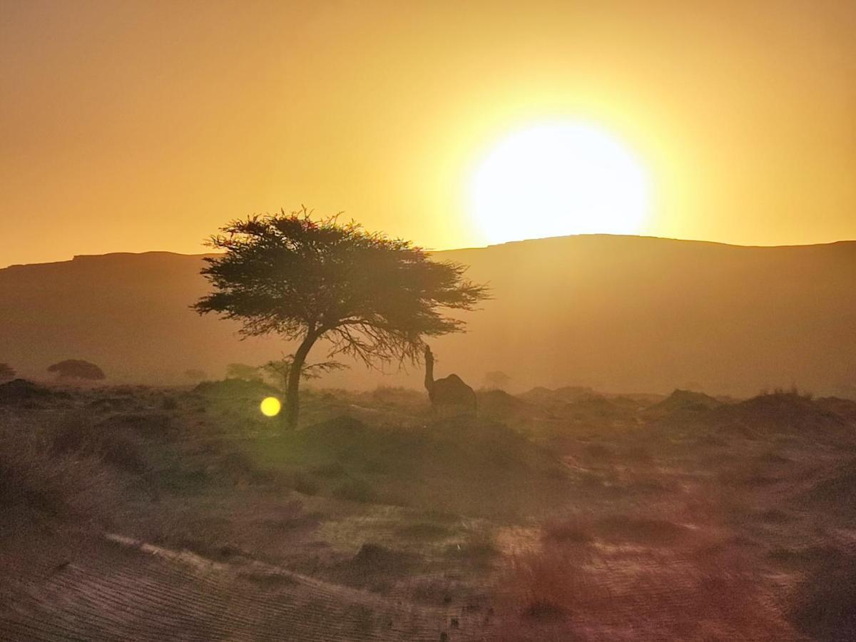 Bivouac Les Nomades & Foum Zguid To Chegaga Tours Hotel Bagian luar foto