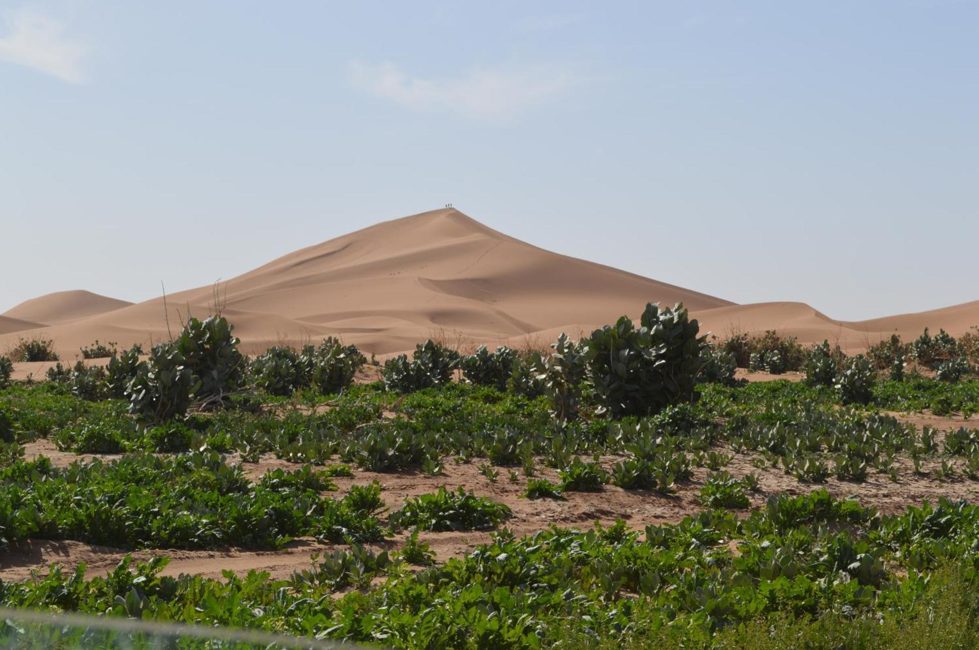 Bivouac Les Nomades & Foum Zguid To Chegaga Tours Hotel Bagian luar foto