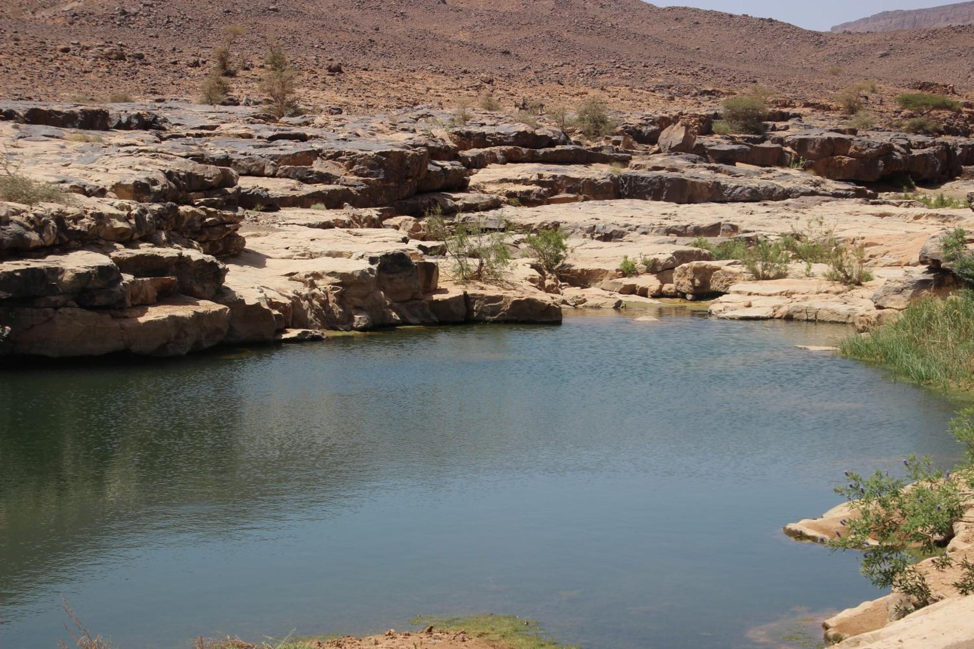 Bivouac Les Nomades & Foum Zguid To Chegaga Tours Hotel Bagian luar foto