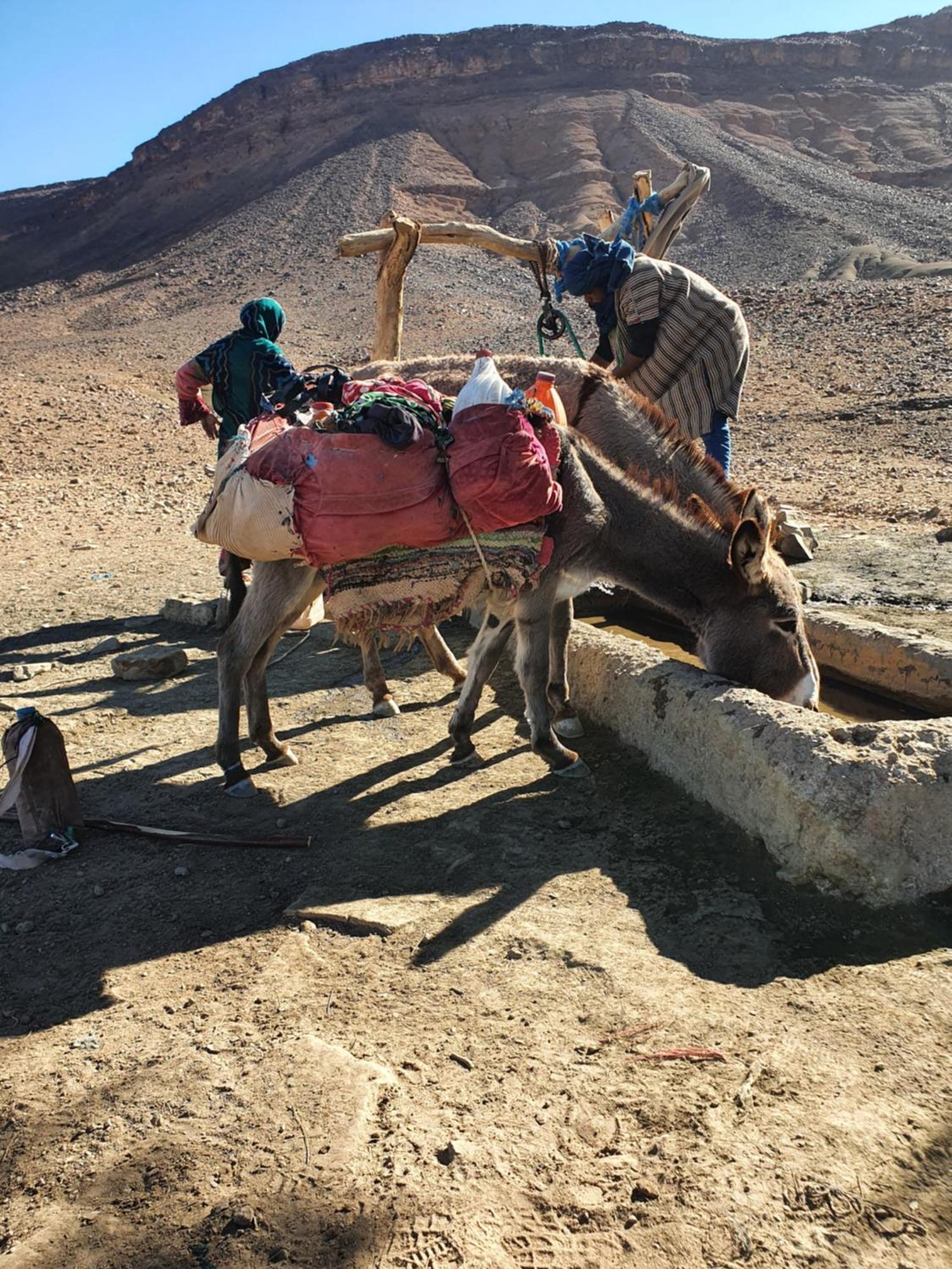 Bivouac Les Nomades & Foum Zguid To Chegaga Tours Hotel Bagian luar foto