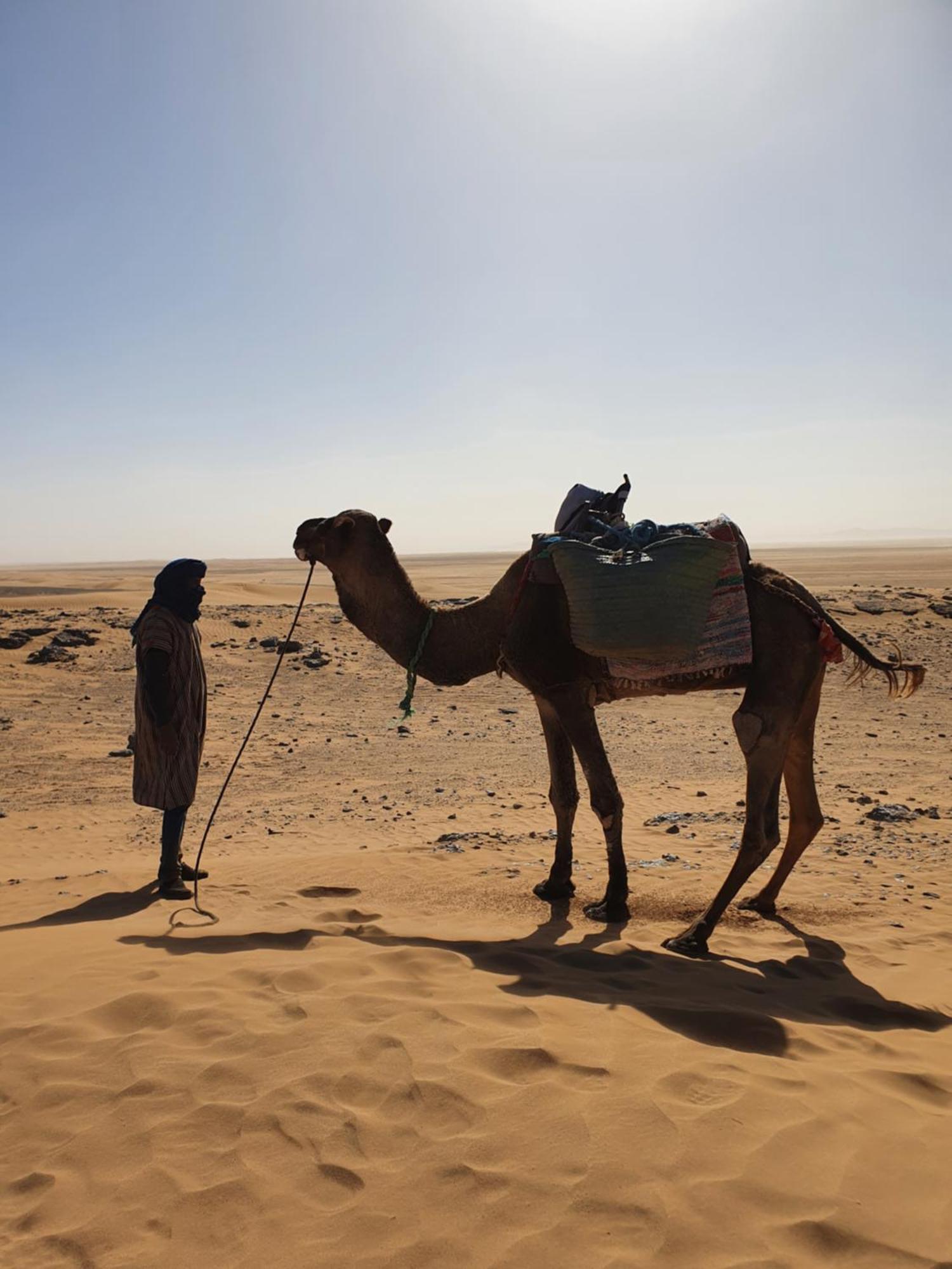Bivouac Les Nomades & Foum Zguid To Chegaga Tours Hotel Bagian luar foto