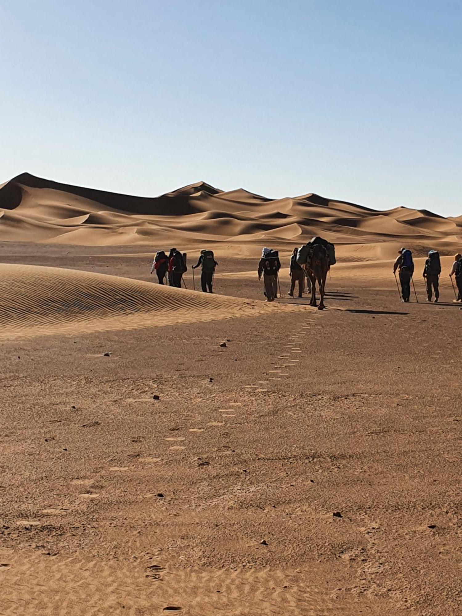 Bivouac Les Nomades & Foum Zguid To Chegaga Tours Hotel Bagian luar foto